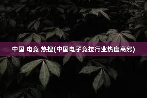 中国 电竞 热搜(中国电子竞技行业热度高涨)